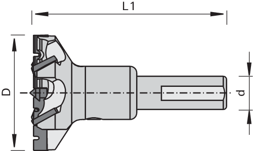 Dimanta Kroņurbis DP